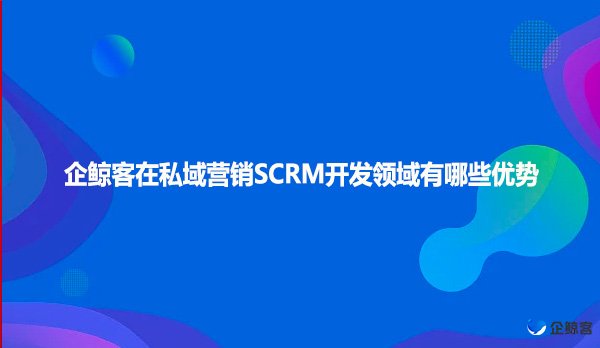企鲸客在私域营销SCRM开发领域有哪些优势