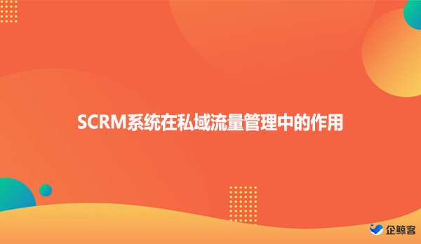 SCRM系统在私域流量管理中的作用