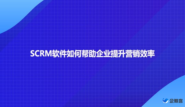 SCRM软件如何帮助企业提升营销效率