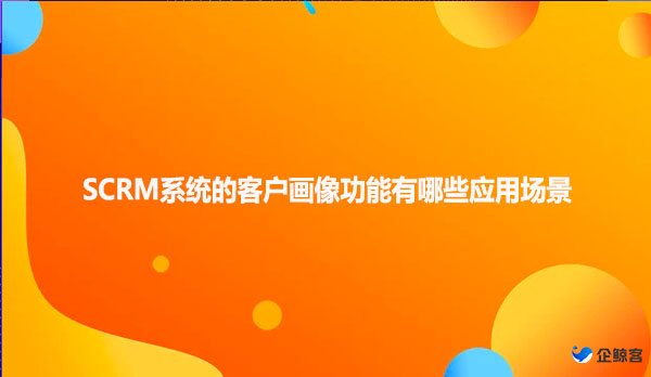 SCRM系统的客户画像功能有哪些应用场景
