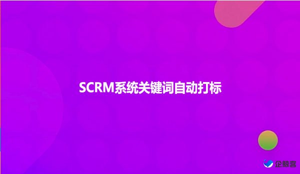 SCRM系统关键词自动打标